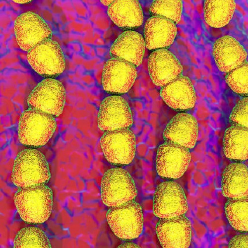 istockphoto-486708784-612x612