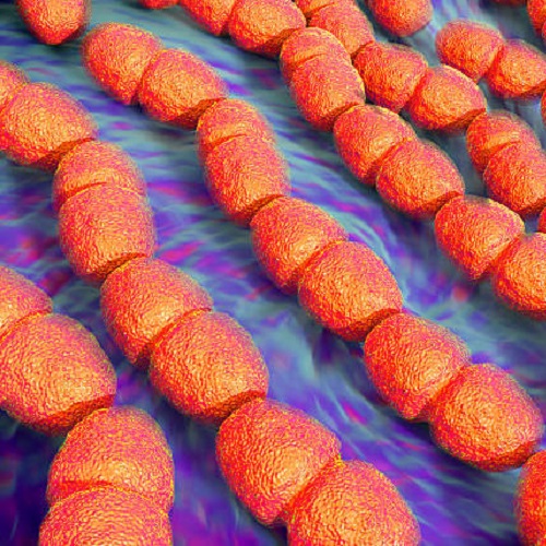 istockphoto-486709244-612x612